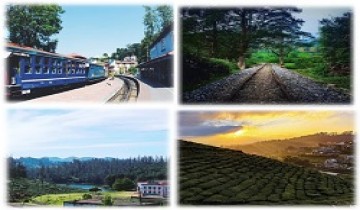  Madurai To Ooty-Doddabetta-Mudumalai-Coonoor Tour Package By Train